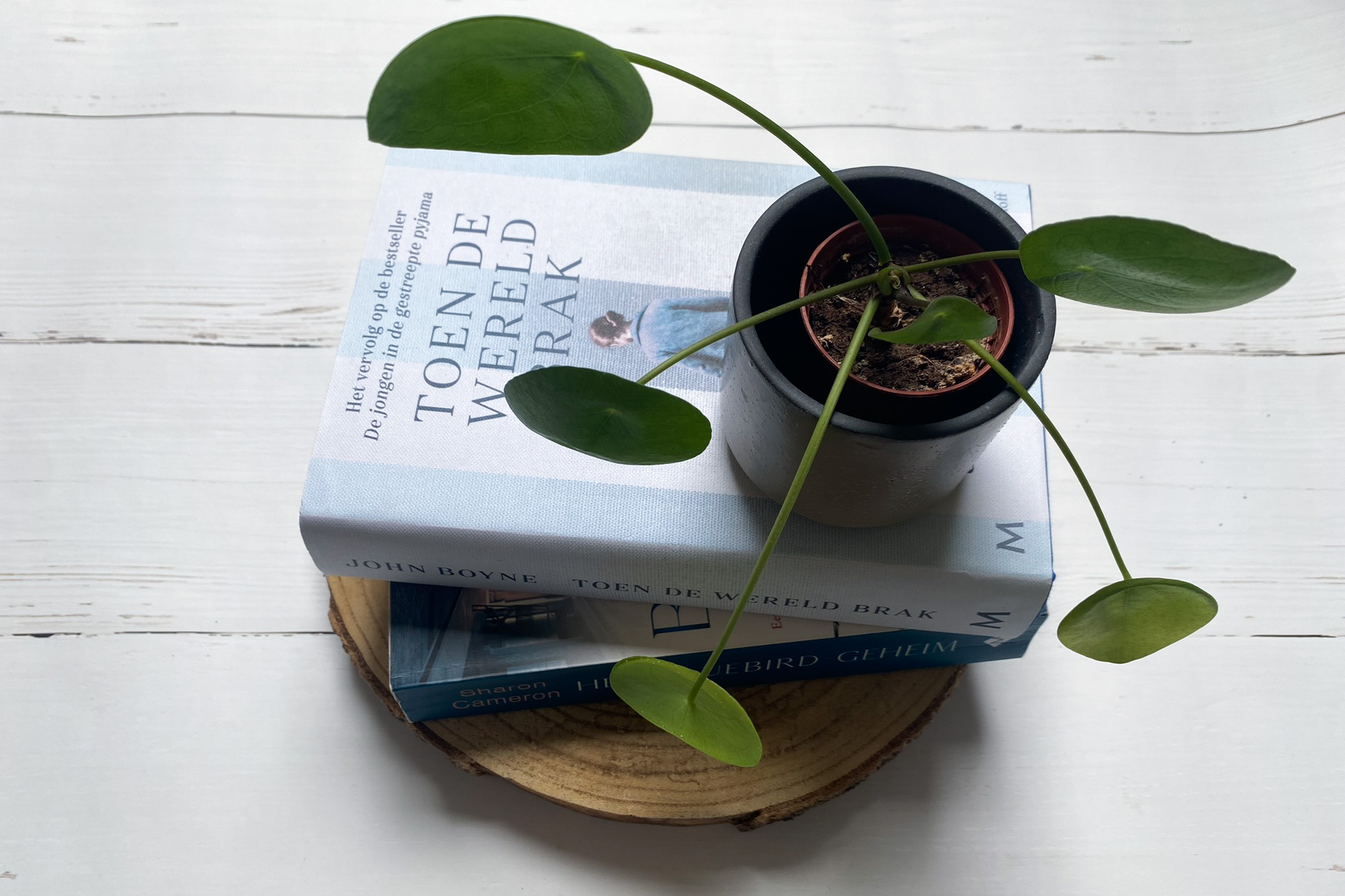 Mini reviews #26 Een groot hart, Toen de wereld brak en Het Bluebird geheim