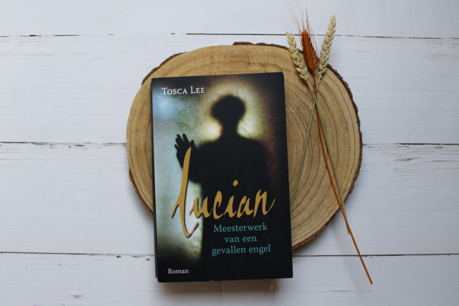 Boekentip #14 Vijf spannende boeken